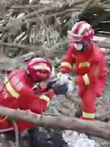 飞机失事爆料视频播放,揭秘飞机失事现场视频背后的真相 第2张 飞机失事爆料视频播放,揭秘飞机失事现场视频背后的真相 第2张
