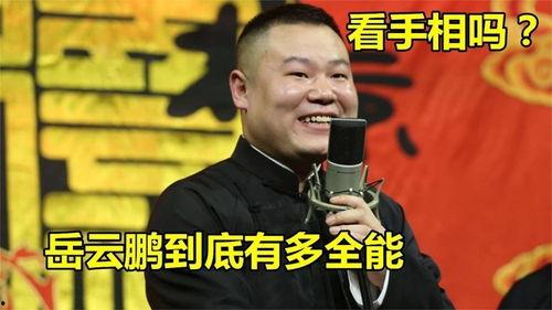 岳云鹏弟弟爆料视频在线观看,揭秘娱乐圈幕后真相  第2张